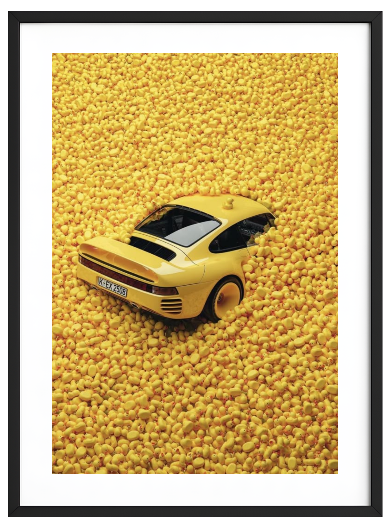 Drive Me Ducky