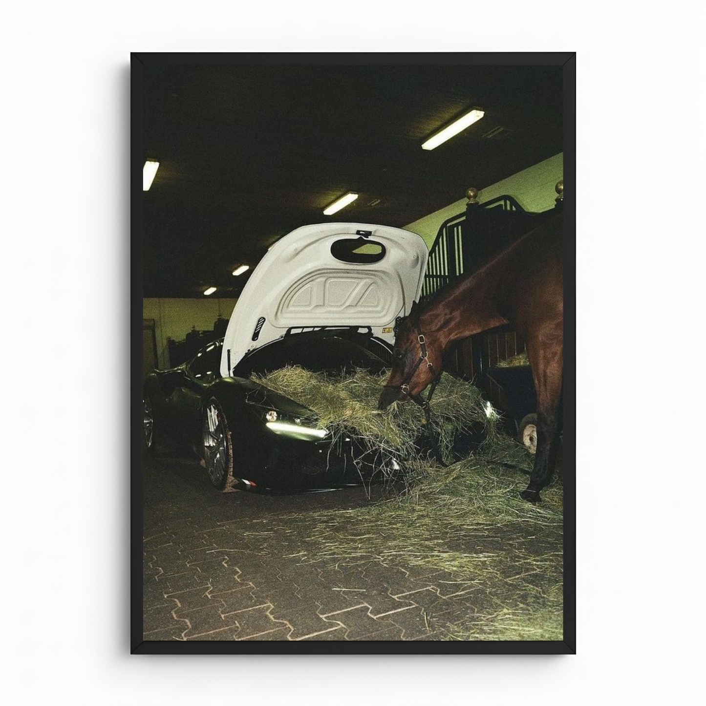The horse's barn