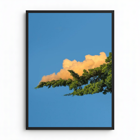 Wolkenblume