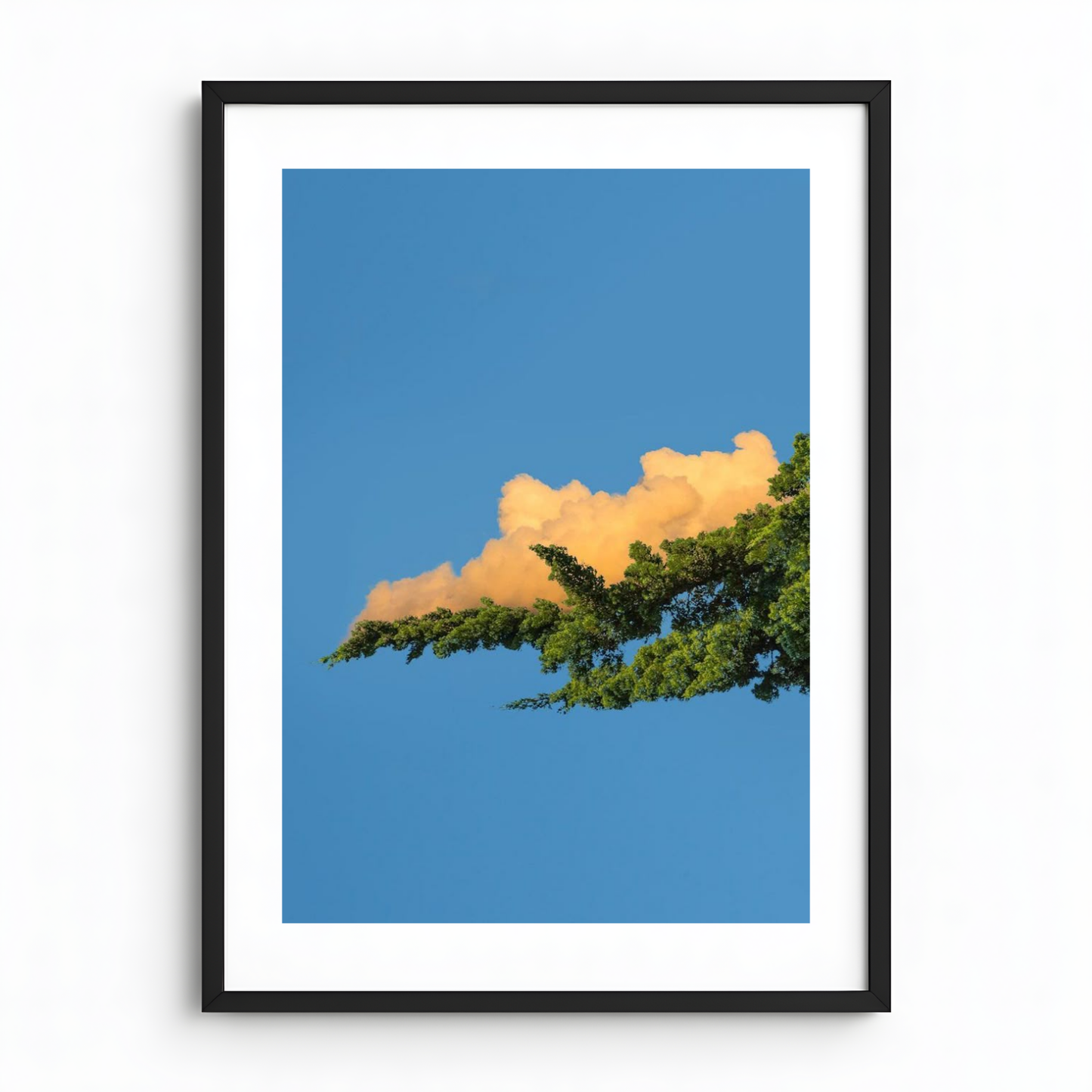 Cloud flower